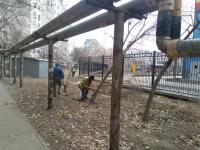 На территории района проведена акция "День чистоты"