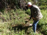 14.05.2020 проведено рейдовое мероприятие  по выявлению и уничтожению дикорастущих наркосодержащих растений