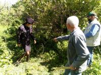 14.05.2020 проведено рейдовое мероприятие  по выявлению и уничтожению дикорастущих наркосодержащих растений