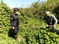 14.05.2020 проведено рейдовое мероприятие  по выявлению и уничтожению дикорастущих наркосодержащих растений