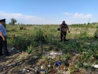 В рамках оперативно-профилактической операции «МАК-2020» проведен рейд по скосу и уничтожению дикорастущих наркосодержащих растений на территории района