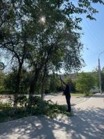 В сквере Ветеранов восстановили полив