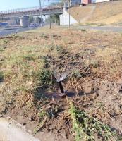 В сквере Ветеранов восстановили полив