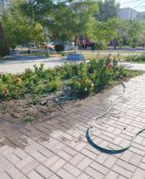 В сквере Ветеранов восстановили полив