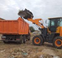 Коммунальщики назвали улицы, где зачистили самые крупные нелегальные свалки 