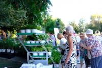 В Астрахани стартовал фестиваль цветов