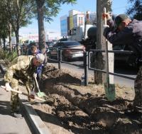 В Астрахани высадят пять тысяч кустарников и две тысячи деревьев