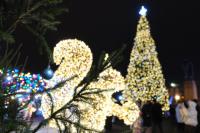 В Астрахани зажгли огни на главной городской елке