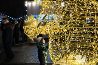 В Астрахани зажгли огни на главной городской елке