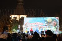 В Астрахани зажгли огни на главной городской елке