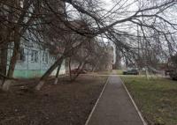 На улице Безжонова приступили к опиловке деревьев 