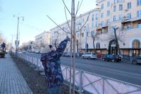 На площади Ленина зеленые насаждения готовят к весне