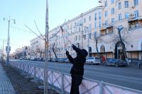 На площади Ленина зеленые насаждения готовят к весне