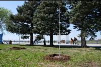 В Астрахани на центральной набережной начали высаживать "Сад Памяти" 