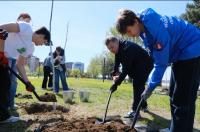 В Астрахани на центральной набережной начали высаживать "Сад Памяти" 
