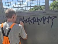 Городские коммунальные службы продолжают ежедневную уборку улиц и зон отдыха