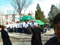 8.04.2015 на Бульваре Победы была проведена акция «Дерево Победы». 