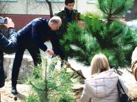 8.04.2015 на Бульваре Победы была проведена акция «Дерево Победы». 