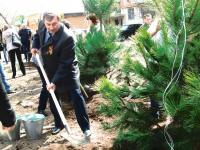 8.04.2015 на Бульваре Победы была проведена акция «Дерево Победы». 