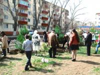 8.04.2015 на Бульваре Победы была проведена акция «Дерево Победы». 