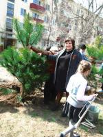 8.04.2015 на Бульваре Победы была проведена акция «Дерево Победы». 