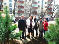 8.04.2015 на Бульваре Победы была проведена акция «Дерево Победы». 