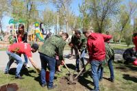 На Бульваре Победы  высажены саженцы легендарного «Тополя Победы» — дерева-долгожителя, уцелевшего в ходе Сталинградской битвы.