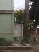 Ликвидация изображений, содержащих сведения о способе приобретения наркотических средств и психотропных веществ