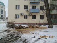 Уборка снега и мероприятия по опиловке на территории района