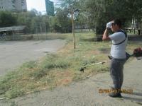 День чистоты.