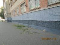 День чистоты.