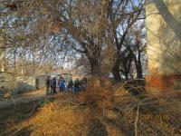 День чистоты.