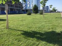 На новой набережной появились детские городки