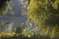 Июльский вечер