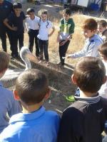 Экскурсия в "Передвижной зверинец "Сафари"