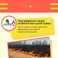 Осторожно: природные пожары!