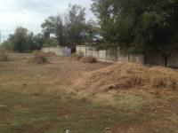 Скос сорной и карантинной растительности.