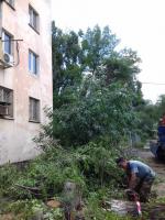 Коммунальным отделом администрации Ленинского района в период с 07.06.2016 по 16.06.2016 организованы мероприятия по удалению дождевой воды с улиц Ленинского района и уходные работы за зелеными насаждениями.