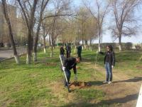15.04.2016 силами сотрудников администрации Ленинского района, структурных подразделений администрации муниципального образования «Город Астрахань» и учащихся высших и средних заведений проведено мероприятие «День чистоты»