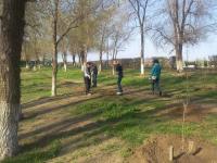 15.04.2016 силами сотрудников администрации Ленинского района, структурных подразделений администрации муниципального образования «Город Астрахань» и учащихся высших и средних заведений проведено мероприятие «День чистоты»