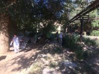 День чистоты на территории района