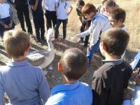 Экскурсия в "Передвижной зверинец "Сафари"