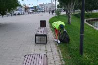 Урны на Лебедином озере заменят на более вместительные