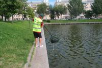 Урны на Лебедином озере заменят на более вместительные