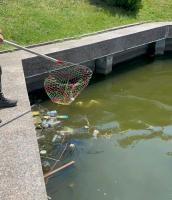 Урны на Лебедином озере заменят на более вместительные