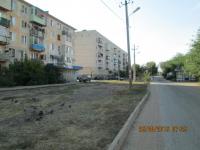 "День чистоты"