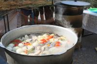 Астраханцы отметили День рыбака фестивалем ухи и ловлей рыбы в фонтане