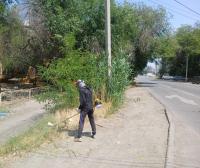 В Астрахани скосили почти 200 гектаров сорной растительности