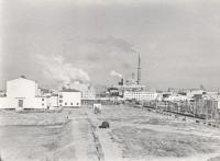 Историческая справка и статистическая информация