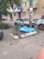 Коммунальным отделом администрации Ленинского района в период с 04.07.2016 по 08.07.2016 в рамках имеющихся полномочий организованы мероприятия по скосу сорной растительности и опиловке деревьев.